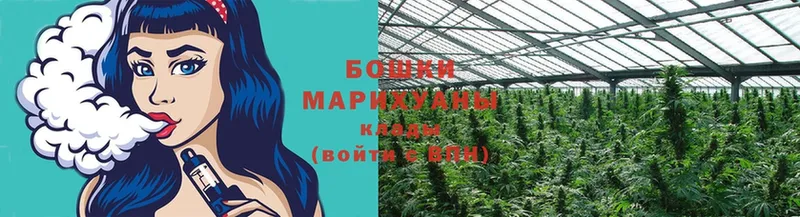 Конопля OG Kush  продажа наркотиков  Мурино 